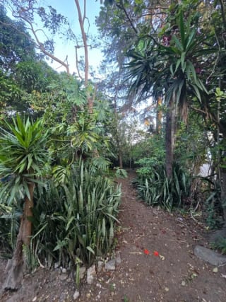 🏞️ Terreno en venta – Los Álamos, San Miguel Petapa — miniatura 3 de 7